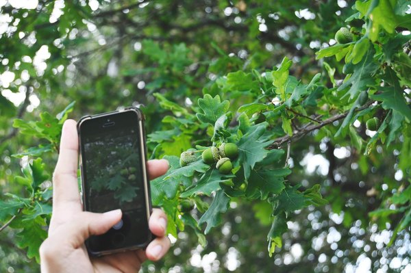 What is the role of biomimicry in developing sustainable products and technologies?