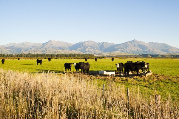 How does the sharing economy contribute to resource conservation and waste reduction?